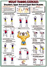 Bodybuilding Set Chart