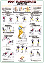 Bodybuilding Set Chart